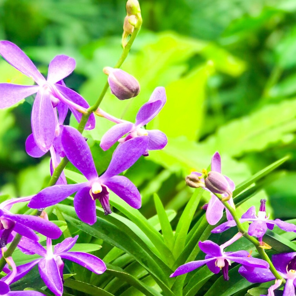 Meet your Posher, Jayne